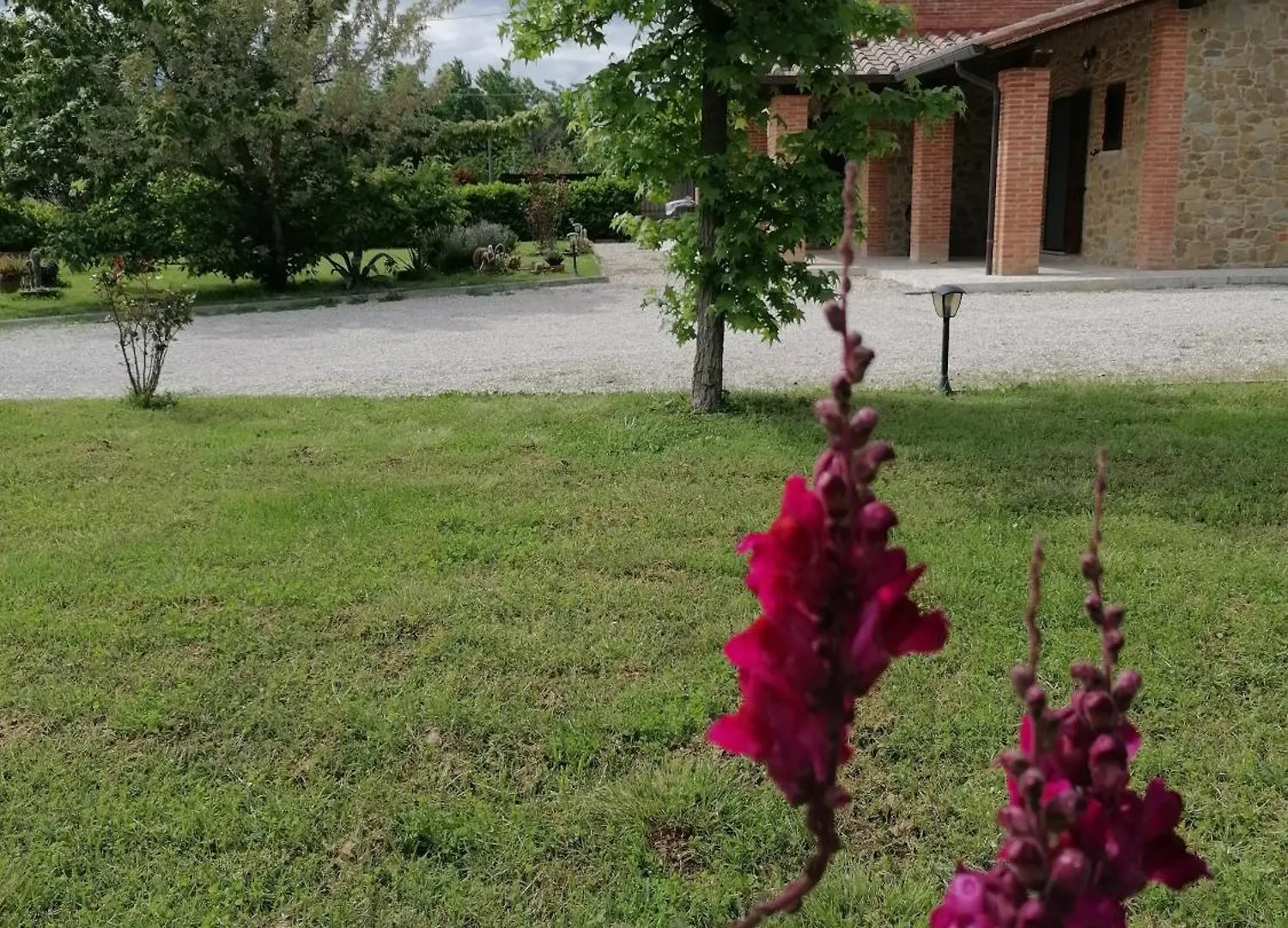 Guest house Il Boschetto Da Michael -Nocciolo Hotel Badia Al Pino