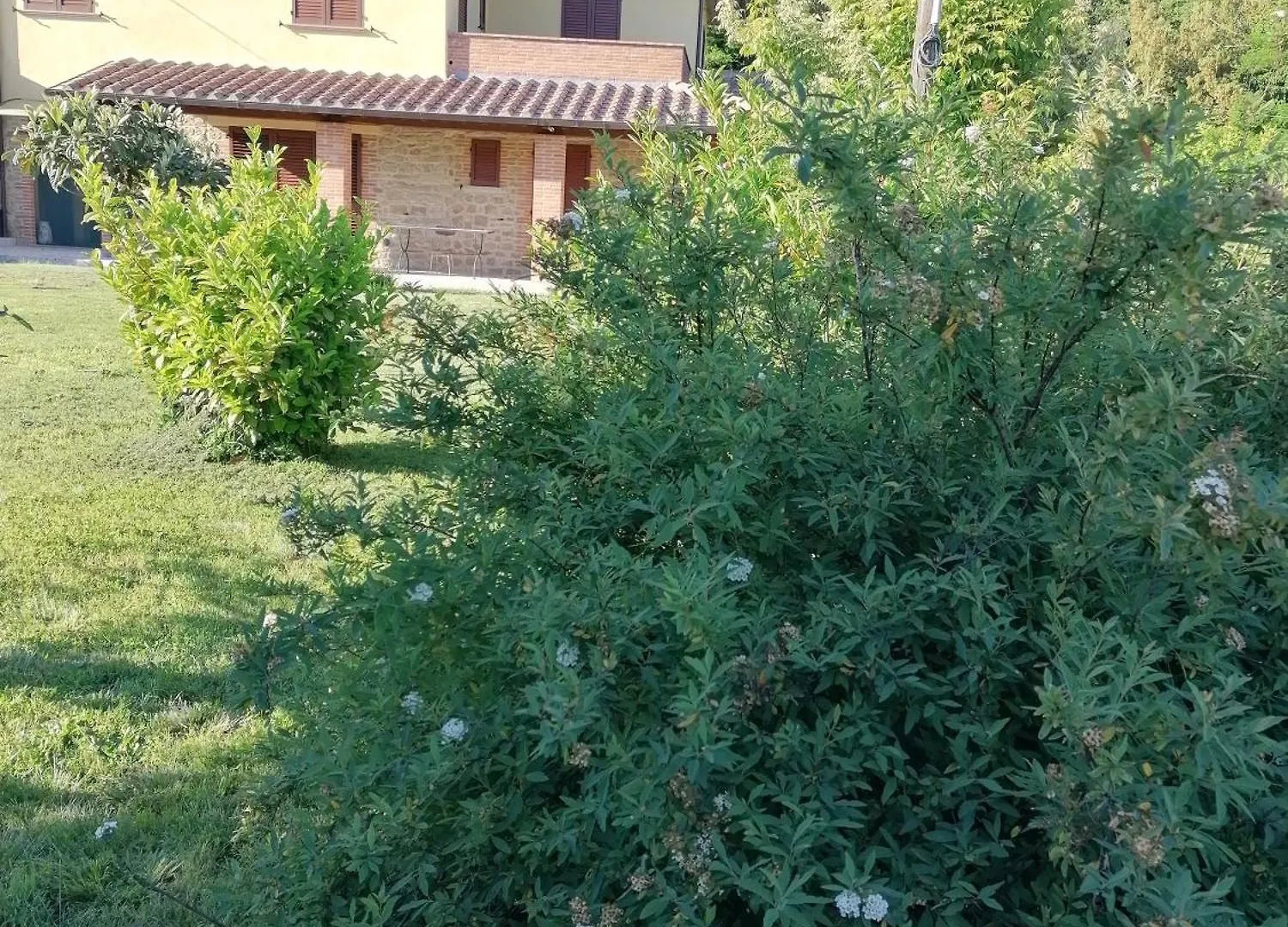 Il Boschetto Da Michael -Nocciolo Hotel Badia Al Pino Italy