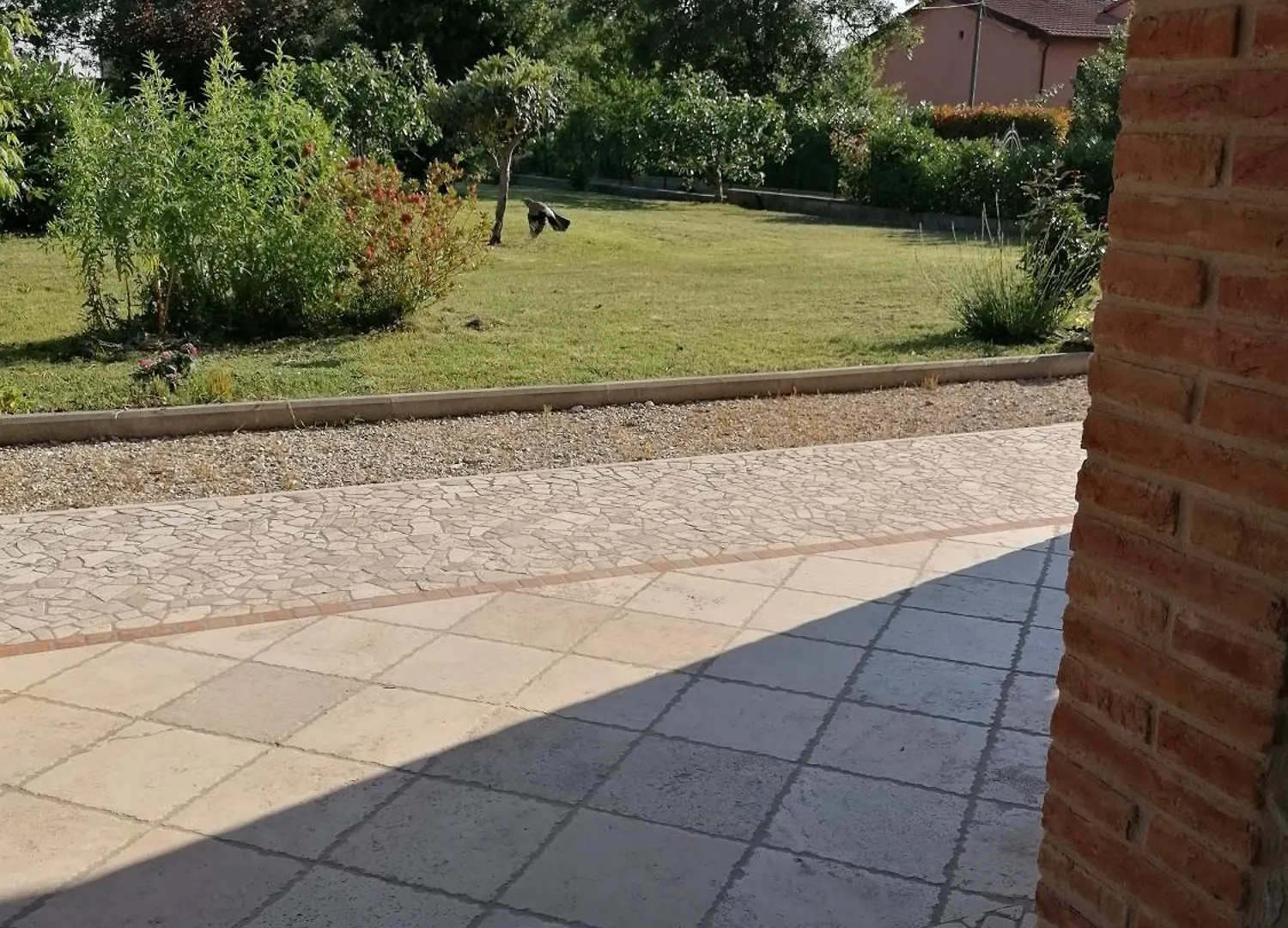 Il Boschetto Da Michael -Nocciolo Hotel Badia Al Pino Guest house